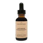 Organ Restore — Tintura de raíz de diente de león | Apoyo orgánico herbal para el hígado