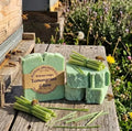 Lemongrass & Lime - Artisanal Soap