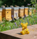 Small Honey Bear